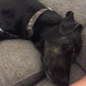 Meet your Posher, Hallie